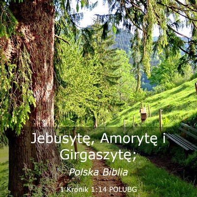 Picture 03 - 1 Kronik 1:14 POLUBG - Jebusytę, Amorytę i - Bible Verse Picture