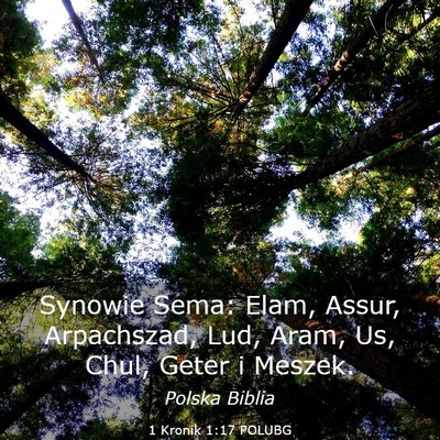 Picture 03 - 1 Kronik 1:17 POLUBG - Synowie Sema: Elam, Assur, Arpachszad, Lud, Aram, - Bible Verse Picture