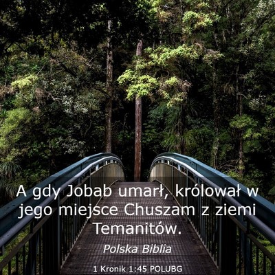 Picture 03 - 1 Kronik 1:45 POLUBG - A gdy Jobab umarł, królował w jego miejsce - Bible Verse Picture