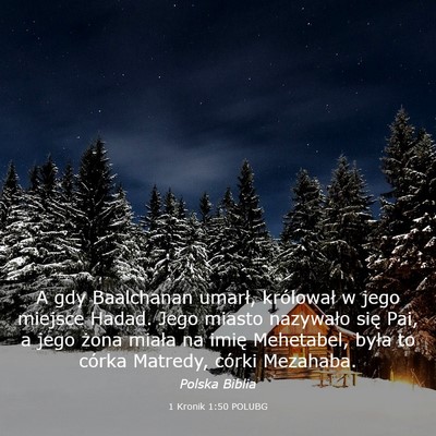 Picture 03 - 1 Kronik 1:50 POLUBG - A gdy Baalchanan umarł, królował w jego - Bible Verse Picture