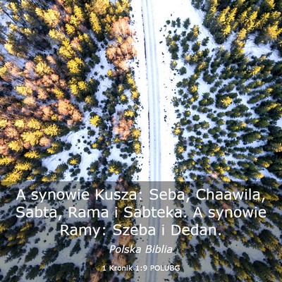 Picture 03 - 1 Kronik 1:9 POLUBG - A synowie Kusza: Seba, Chaawila, Sabta, Rama i - Bible Verse Picture