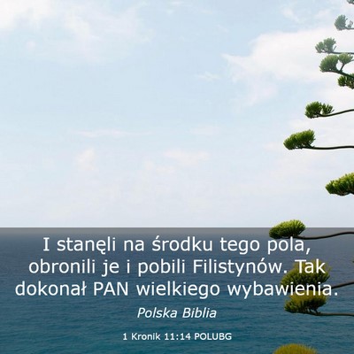 Picture 03 - 1 Kronik 11:14 POLUBG - I stanęli na środku tego pola, obronili je i - Bible Verse Picture