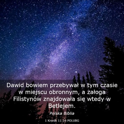 Picture 03 - 1 Kronik 11:16 POLUBG - Dawid bowiem przebywał w tym czasie w miejscu - Bible Verse Picture