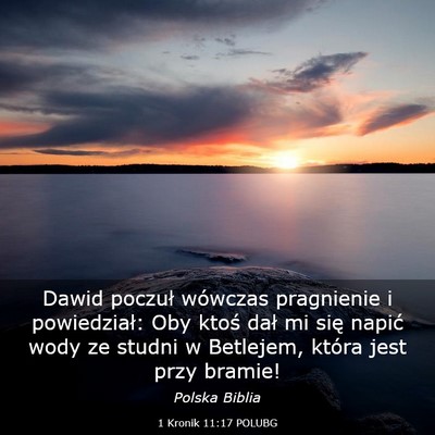 Picture 03 - 1 Kronik 11:17 POLUBG - Dawid poczuł wówczas pragnienie i powiedział: - Bible Verse Picture