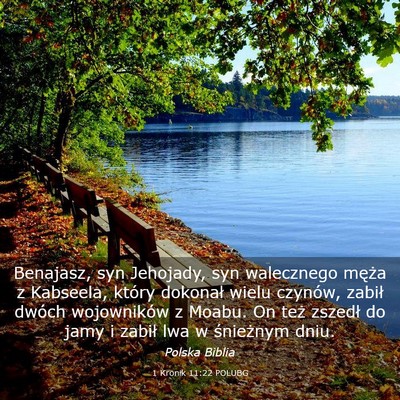 Picture 03 - 1 Kronik 11:22 POLUBG - Benajasz, syn Jehojady, syn walecznego męża z - Bible Verse Picture