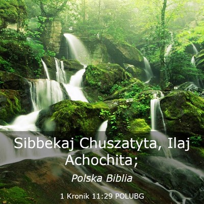 Picture 03 - 1 Kronik 11:29 POLUBG - Sibbekaj Chuszatyta, Ilaj - Bible Verse Picture