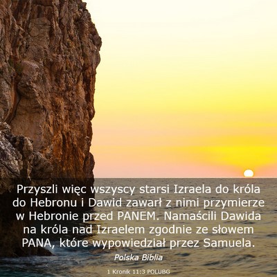 Picture 03 - 1 Kronik 11:3 POLUBG - Przyszli więc wszyscy starsi Izraela do króla - Bible Verse Picture