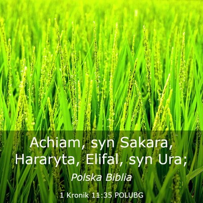 Picture 03 - 1 Kronik 11:35 POLUBG - Achiam, syn Sakara, Hararyta, Elifal, syn - Bible Verse Picture