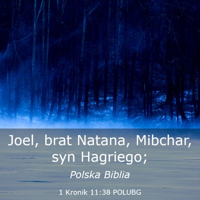 Picture 03 - 1 Kronik 11:38 POLUBG - Joel, brat Natana, Mibchar, syn - Bible Verse Picture