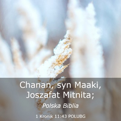 Picture 03 - 1 Kronik 11:43 POLUBG - Chanan, syn Maaki, Joszafat - Bible Verse Picture
