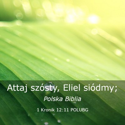 Picture 03 - 1 Kronik 12:11 POLUBG - Attaj szósty, Eliel - Bible Verse Picture