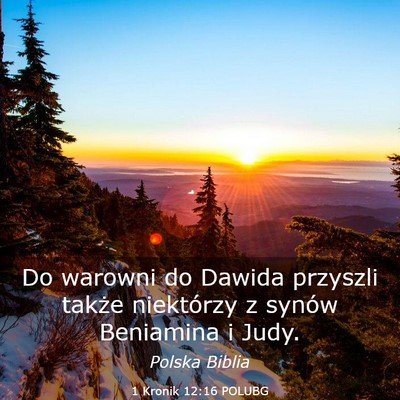 Picture 03 - 1 Kronik 12:16 POLUBG - Do warowni do Dawida przyszli także niektórzy z - Bible Verse Picture