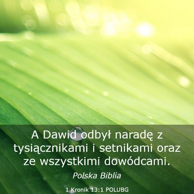 Picture 03 - 1 Kronik 13:1 POLUBG - A Dawid odbył naradę z tysiącznikami i - Bible Verse Picture