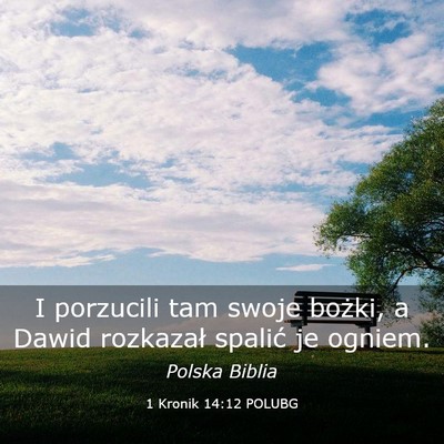 Picture 03 - 1 Kronik 14:12 POLUBG - I porzucili tam swoje bożki, a Dawid rozkazał - Bible Verse Picture