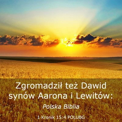 Picture 03 - 1 Kronik 15:4 POLUBG - Zgromadził też Dawid synów Aarona i - Bible Verse Picture