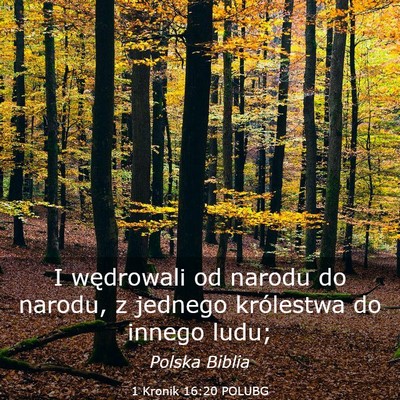 Picture 03 - 1 Kronik 16:20 POLUBG - I wędrowali od narodu do narodu, z jednego - Bible Verse Picture