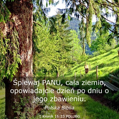Picture 03 - 1 Kronik 16:23 POLUBG - Śpiewaj PANU, cała ziemio, opowiadajcie dzień - Bible Verse Picture