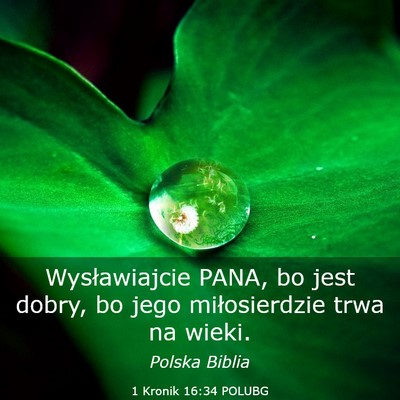 Picture 03 - 1 Kronik 16:34 POLUBG - Wysławiajcie PANA, bo jest dobry, bo jego - Bible Verse Picture