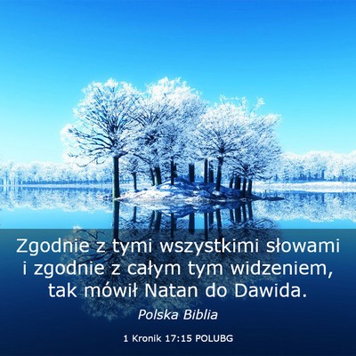 Picture 03 - 1 Kronik 17:15 POLUBG - Zgodnie z tymi wszystkimi słowami i zgodnie z - Bible Verse Picture