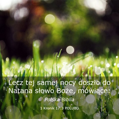 Picture 03 - 1 Kronik 17:3 POLUBG - Lecz tej samej nocy doszło do Natana słowo - Bible Verse Picture