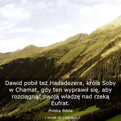 Picture 03 - 1 Kronik 18:3 POLUBG - Dawid pobił też Hadadezera, króla Soby w - Bible Verse Picture