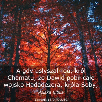 Picture 03 - 1 Kronik 18:9 POLUBG - A gdy usłyszał Tou, król Chamatu, że Dawid - Bible Verse Picture