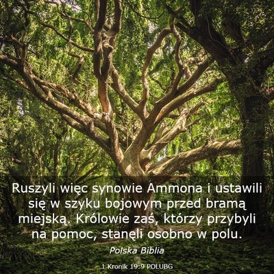 Picture 03 - 1 Kronik 19:9 POLUBG - Ruszyli więc synowie Ammona i ustawili się w - Bible Verse Picture
