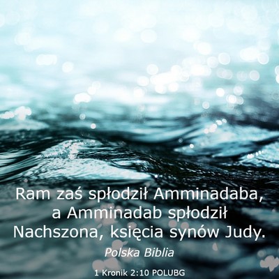 Picture 03 - 1 Kronik 2:10 POLUBG - Ram zaś spłodził Amminadaba, a Amminadab - Bible Verse Picture
