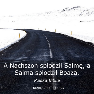 Picture 03 - 1 Kronik 2:11 POLUBG - A Nachszon spłodził Salmę, a Salma spłodził - Bible Verse Picture