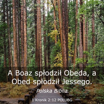 Picture 03 - 1 Kronik 2:12 POLUBG - A Boaz spłodził Obeda, a Obed spłodził - Bible Verse Picture