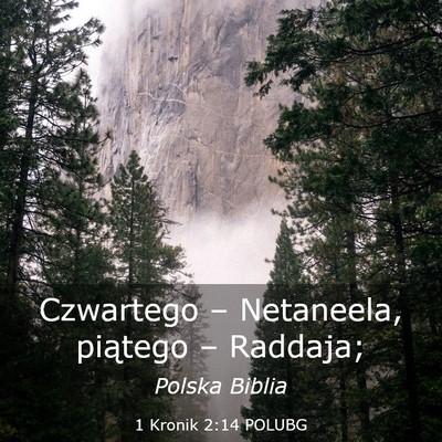 Picture 03 - 1 Kronik 2:14 POLUBG - Czwartego – Netaneela, piątego – - Bible Verse Picture