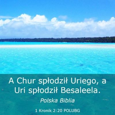 Picture 03 - 1 Kronik 2:20 POLUBG - A Chur spłodził Uriego, a Uri spłodził - Bible Verse Picture