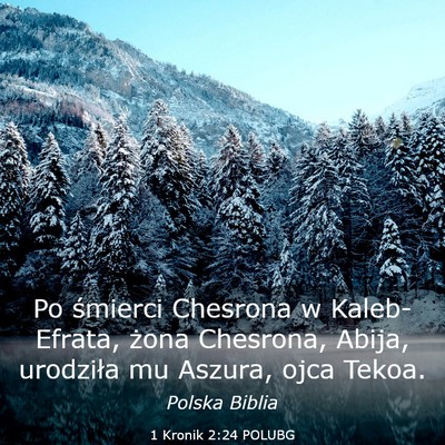 Picture 03 - 1 Kronik 2:24 POLUBG - Po śmierci Chesrona w Kaleb-Efrata, żona - Bible Verse Picture