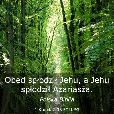 Picture 03 - 1 Kronik 2:38 POLUBG - Obed spłodził Jehu, a Jehu spłodził - Bible Verse Picture