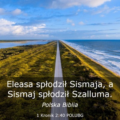 Picture 03 - 1 Kronik 2:40 POLUBG - Eleasa spłodził Sismaja, a Sismaj spłodził - Bible Verse Picture