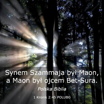 Picture 03 - 1 Kronik 2:45 POLUBG - Synem Szammaja był Maon, a Maon był ojcem - Bible Verse Picture