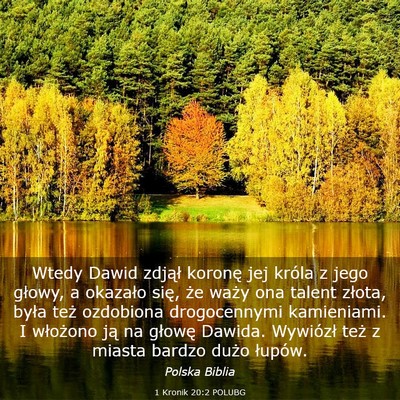 Picture 03 - 1 Kronik 20:2 POLUBG - Wtedy Dawid zdjął koronę jej króla z jego - Bible Verse Picture