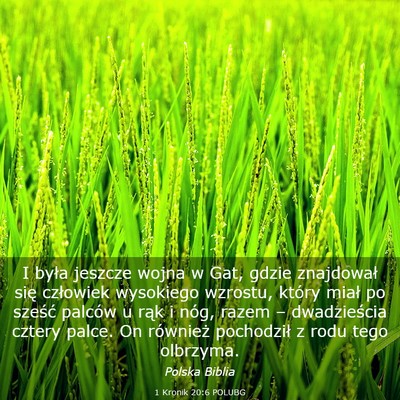 Picture 03 - 1 Kronik 20:6 POLUBG - I była jeszcze wojna w Gat, gdzie znajdował - Bible Verse Picture