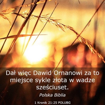 Picture 03 - 1 Kronik 21:25 POLUBG - Dał więc Dawid Ornanowi za to miejsce sykle - Bible Verse Picture