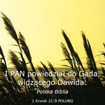 Picture 03 - 1 Kronik 21:9 POLUBG - I PAN powiedział do Gada, widzącego - Bible Verse Picture