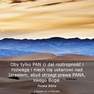 Picture 03 - 1 Kronik 22:12 POLUBG - Oby tylko PAN ci dał roztropność i rozwagę i - Bible Verse Picture