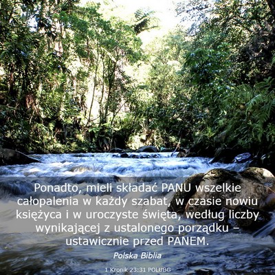 Picture 03 - 1 Kronik 23:31 POLUBG - Ponadto, mieli składać PANU wszelkie - Bible Verse Picture