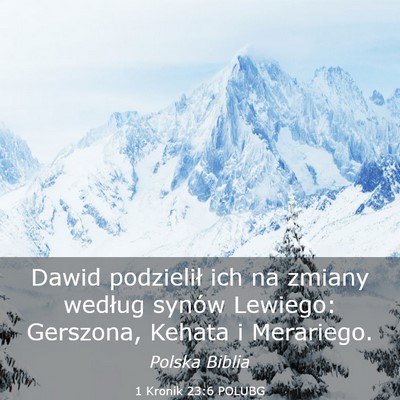 Picture 03 - 1 Kronik 23:6 POLUBG - Dawid podzielił ich na zmiany według synów - Bible Verse Picture
