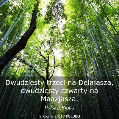Picture 03 - 1 Kronik 24:18 POLUBG - Dwudziesty trzeci na Delajasza, dwudziesty - Bible Verse Picture