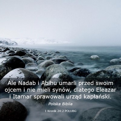 Picture 03 - 1 Kronik 24:2 POLUBG - Ale Nadab i Abihu umarli przed swoim ojcem i nie - Bible Verse Picture