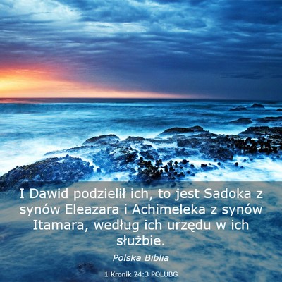 Picture 03 - 1 Kronik 24:3 POLUBG - I Dawid podzielił ich, to jest Sadoka z synów - Bible Verse Picture