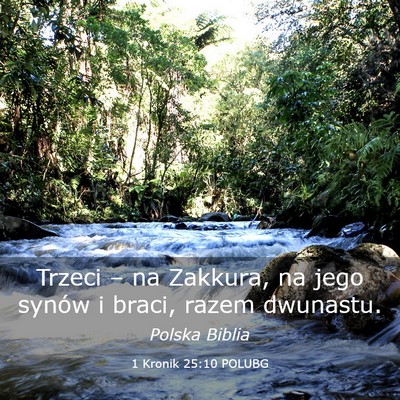 Picture 03 - 1 Kronik 25:10 POLUBG - Trzeci – na Zakkura, na jego synów i braci, - Bible Verse Picture