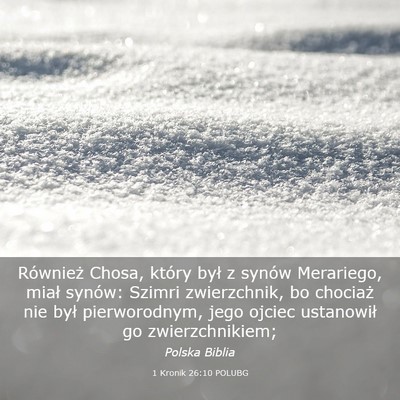 Picture 03 - 1 Kronik 26:10 POLUBG - Również Chosa, który był z synów Merariego, - Bible Verse Picture