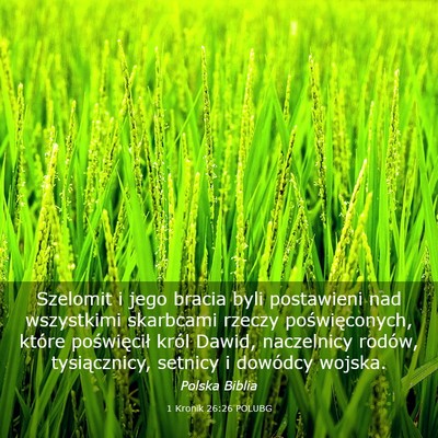 Picture 03 - 1 Kronik 26:26 POLUBG - Szelomit i jego bracia byli postawieni nad - Bible Verse Picture