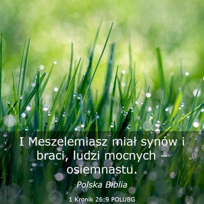Picture 03 - 1 Kronik 26:9 POLUBG - I Meszelemiasz miał synów i braci, ludzi - Bible Verse Picture